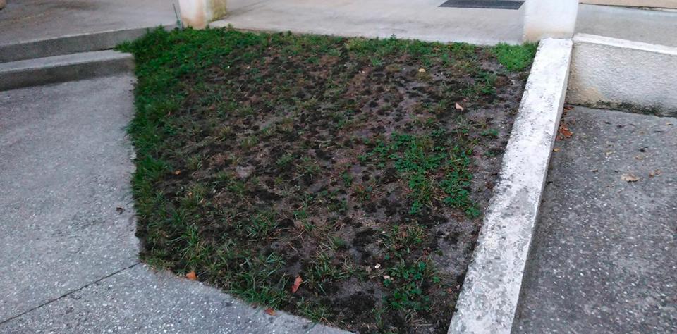 L'Avenir-Paysager_Martignas-Sur-Jalle(av4)