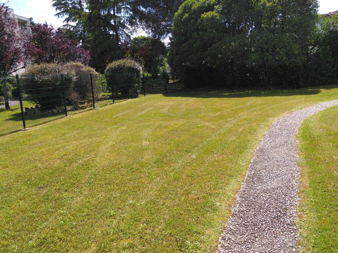 jardin bien tondu avec allée