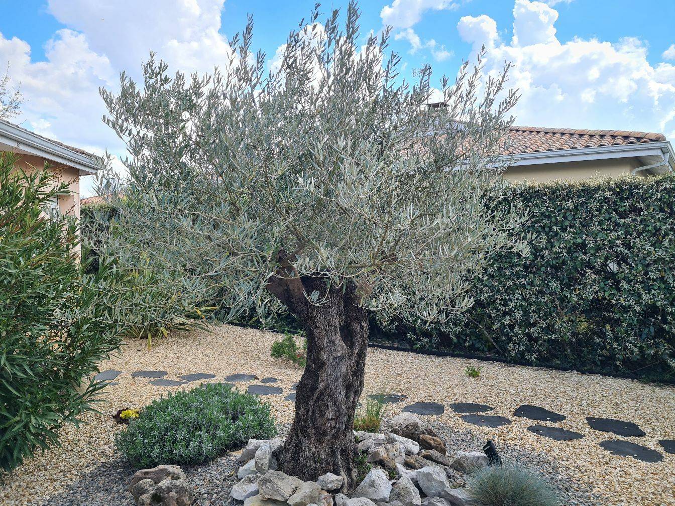 fd4e06f7-5dde-46ef-8925-12a80318c76b